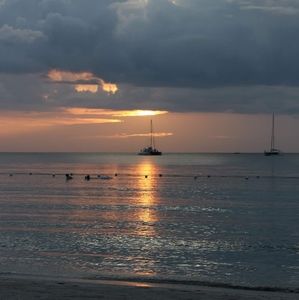 Meet your Posher, Robon